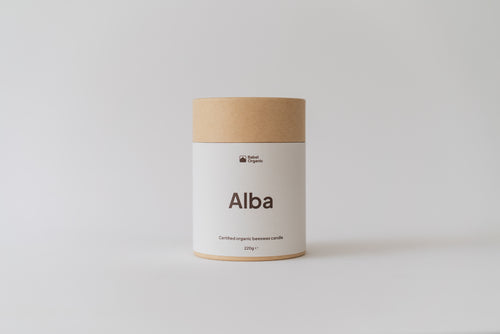 A cylindrical kraft paper jar candle labeled 'Alba' by the brand Local Papers, set against a clean, light gray studio background.