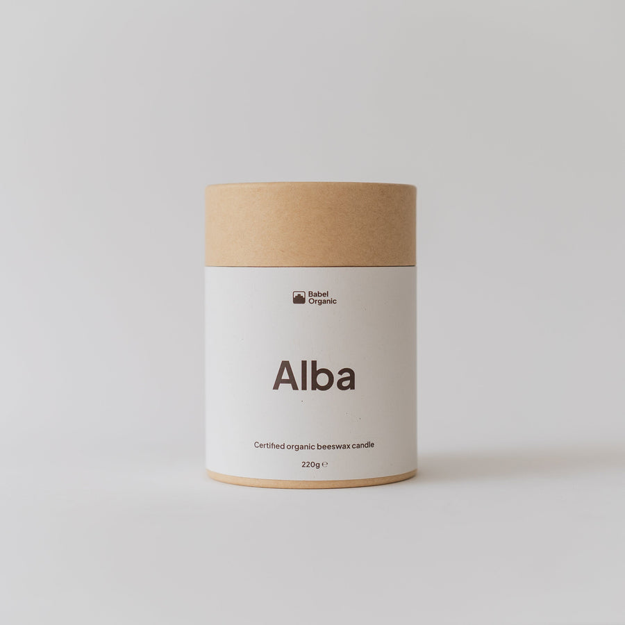 A cylindrical kraft paper jar candle labeled 'Alba' by the brand Local Papers, set against a clean, light gray studio background.