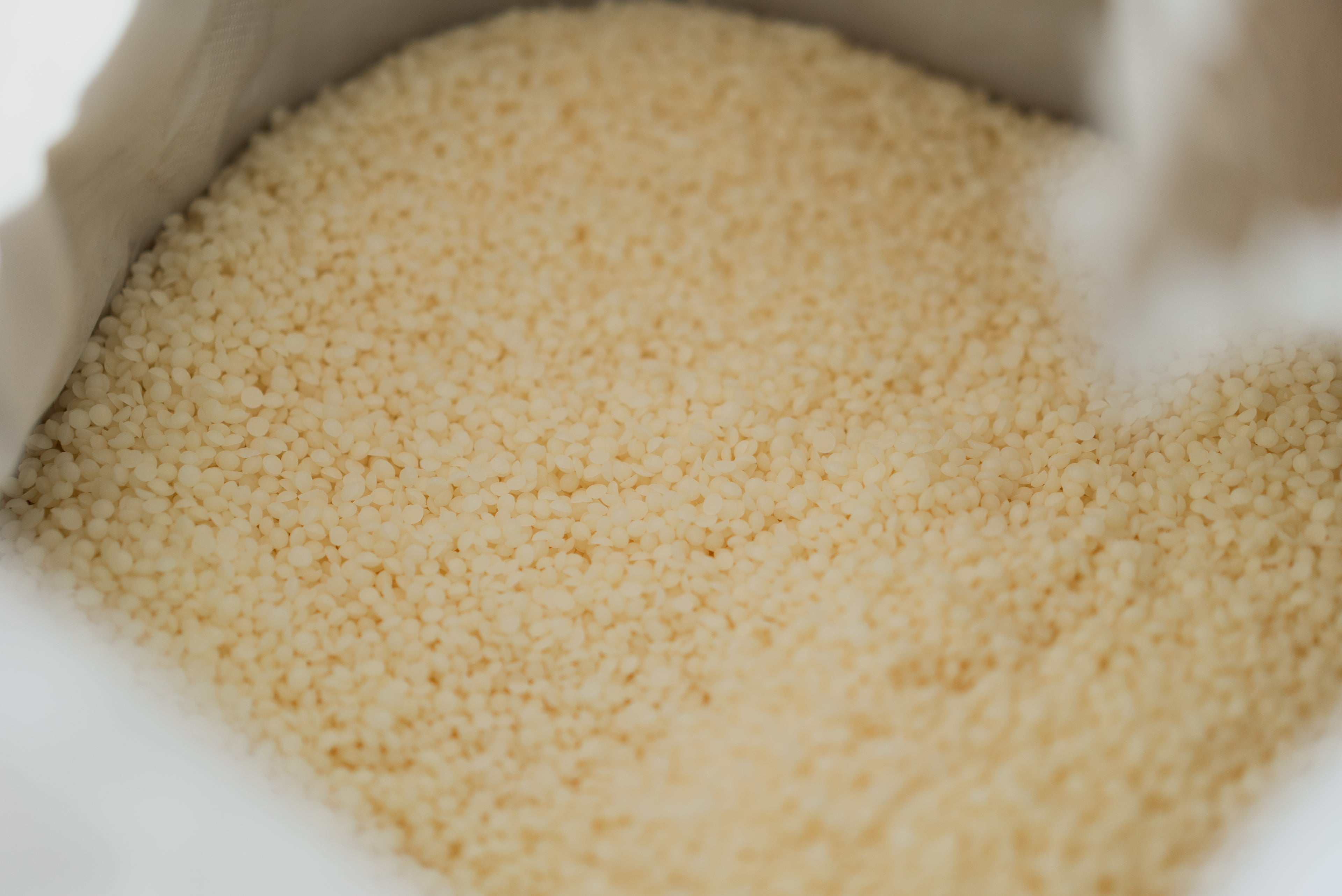 Close-up of a container filled with white beeswax pellets