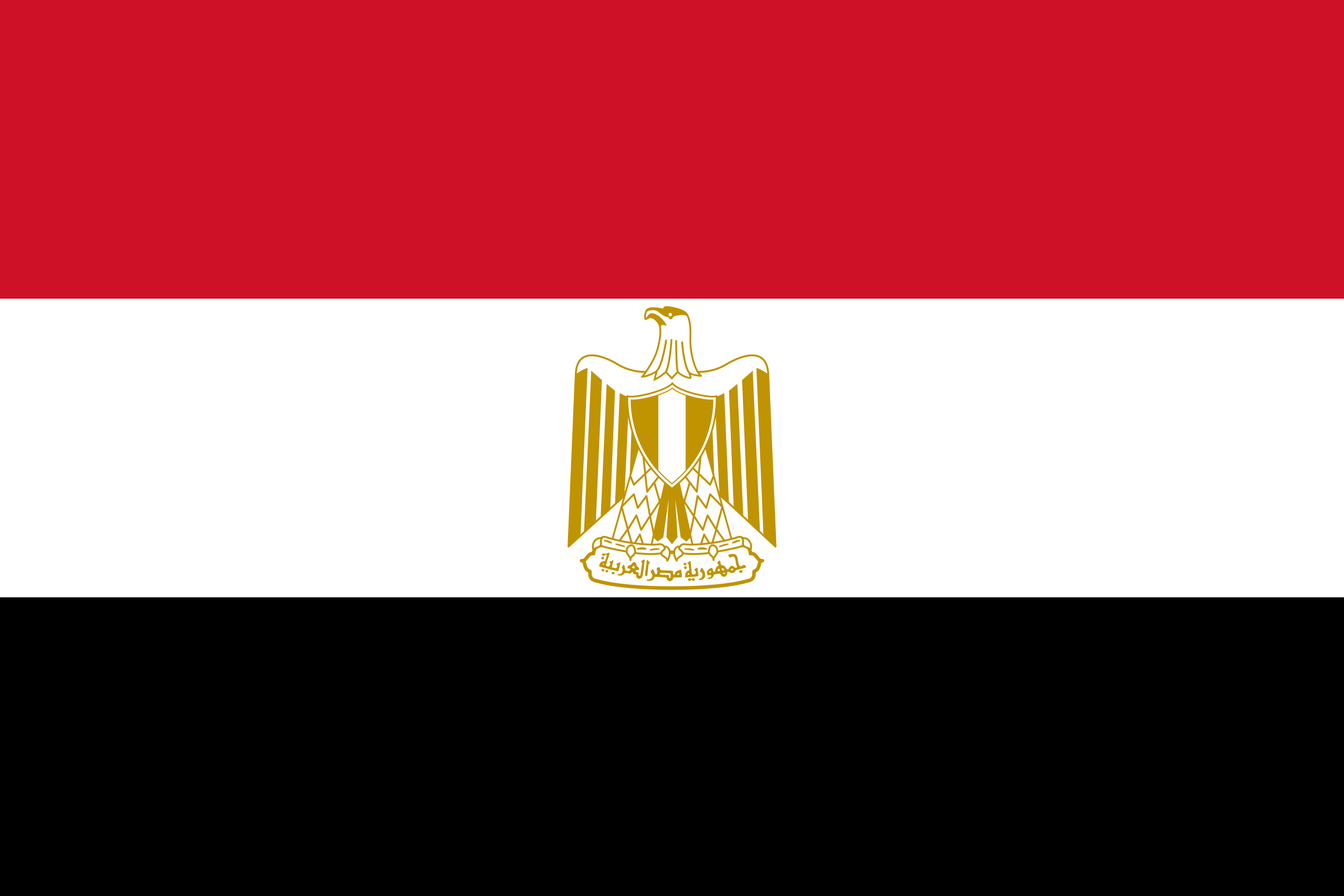 Flag 2