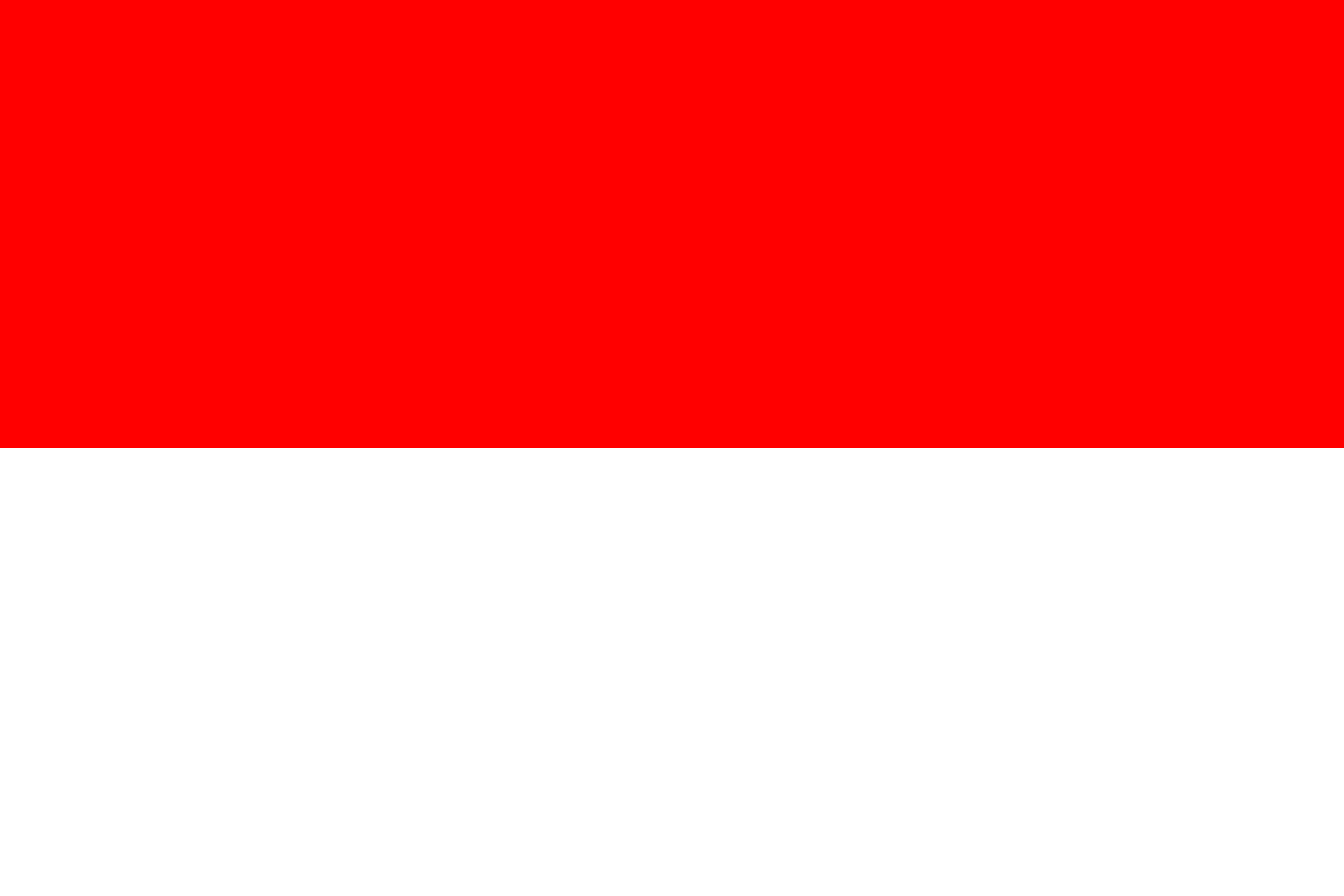 Flag 1