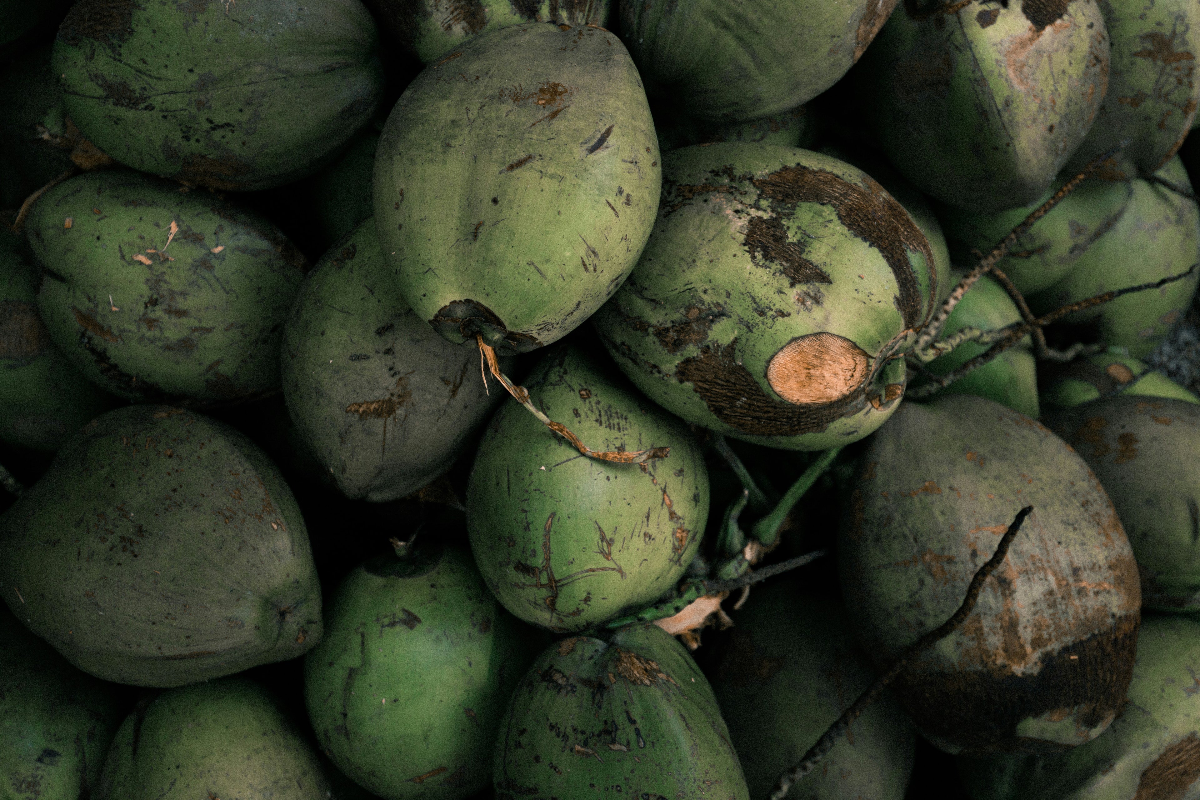 A close-up pile of green coconuts with rough, textured skins and visible brown dirt marks.