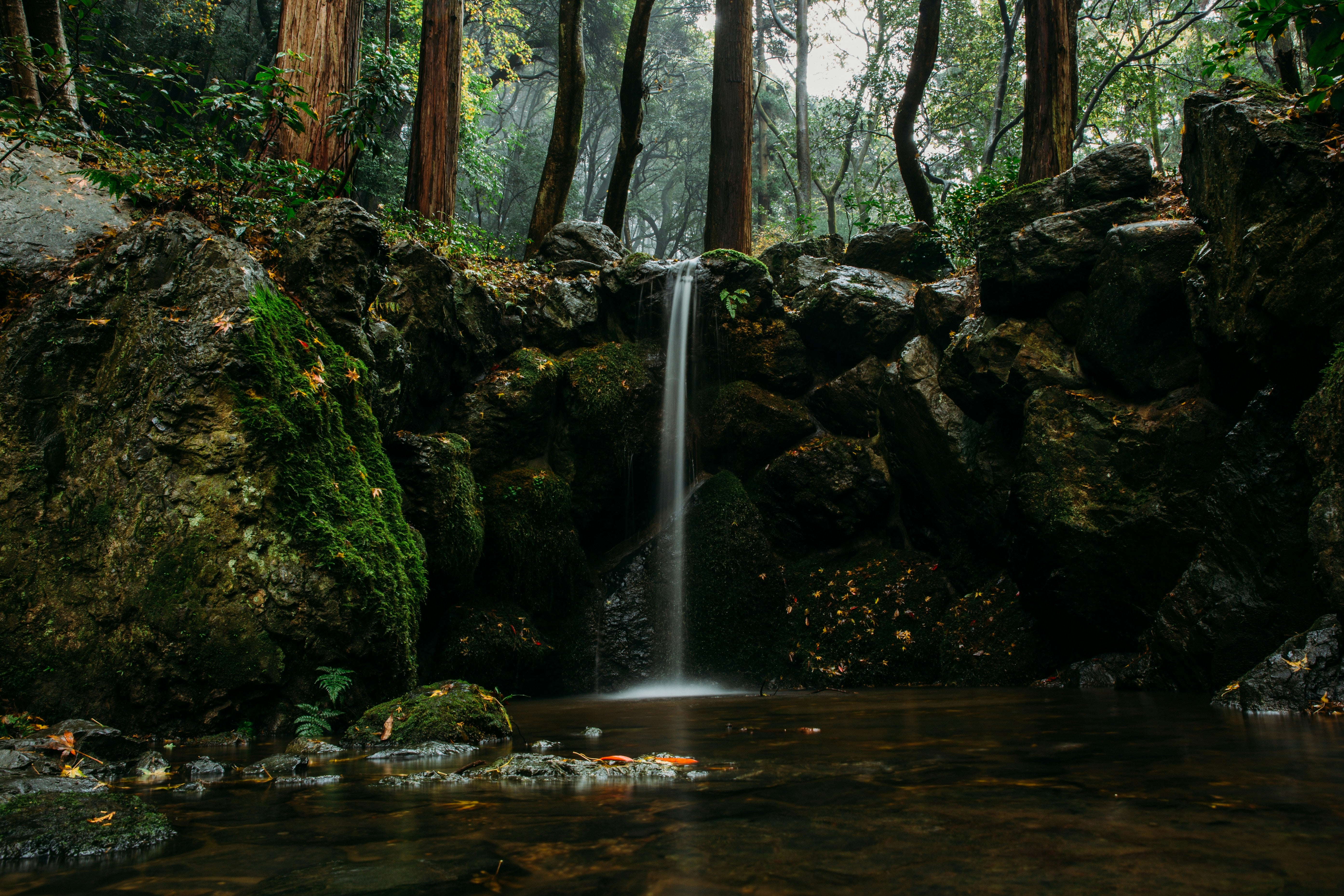 Waterfall in a forest with large rocks and greenery